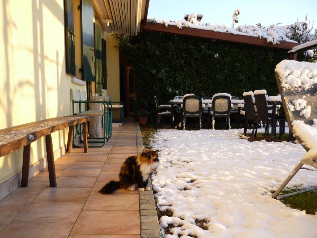 Sant'Andrea Agriturismo Con Cantina Martignago Vignaioli Asolo Prosecco Docg Wines Maser Exteriör bild
